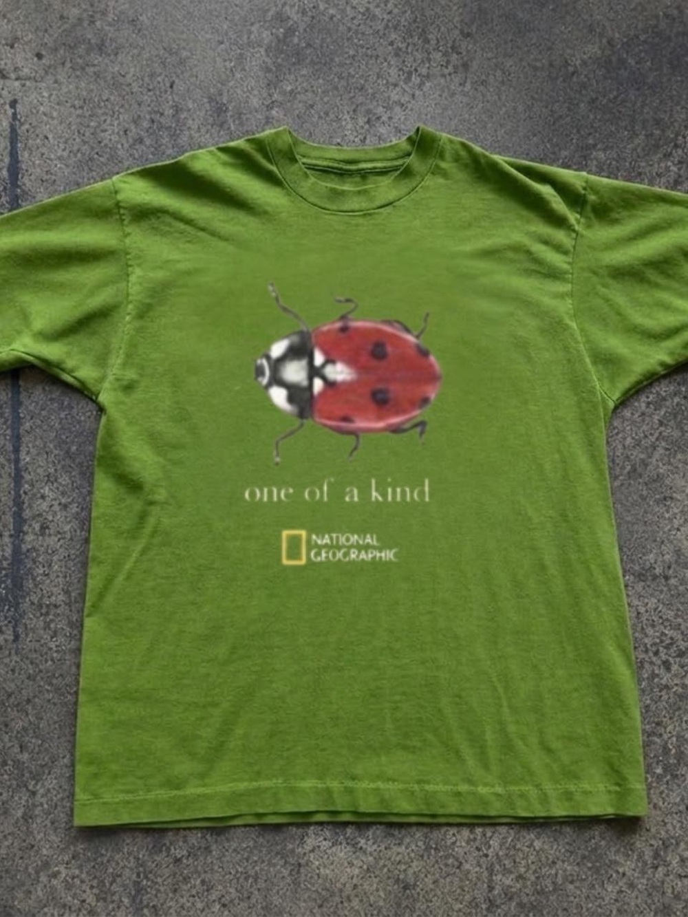 Gildan Green Short Sleeve Tee with Red Ladybug Graphic
